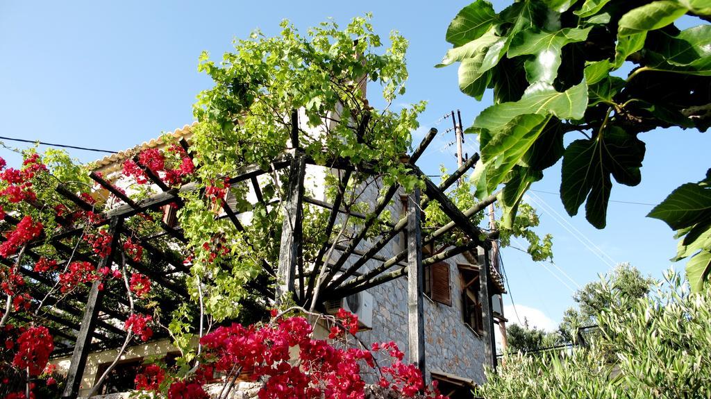 Διαμερίσματα Παπανέστορας Καρδαμύλη Εξωτερικό φωτογραφία